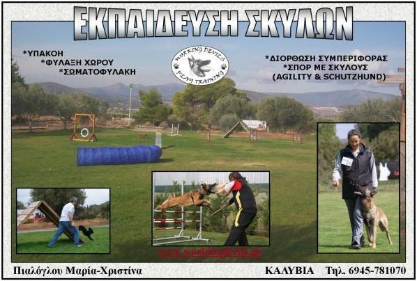 Working Devils - Play Training - ���������� ������ - ��������� �����-��������